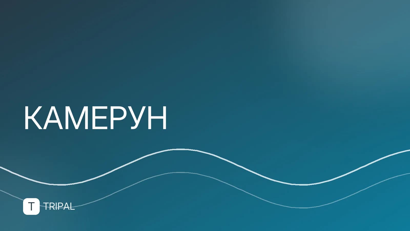 История Камеруна: от древних государств до независимости