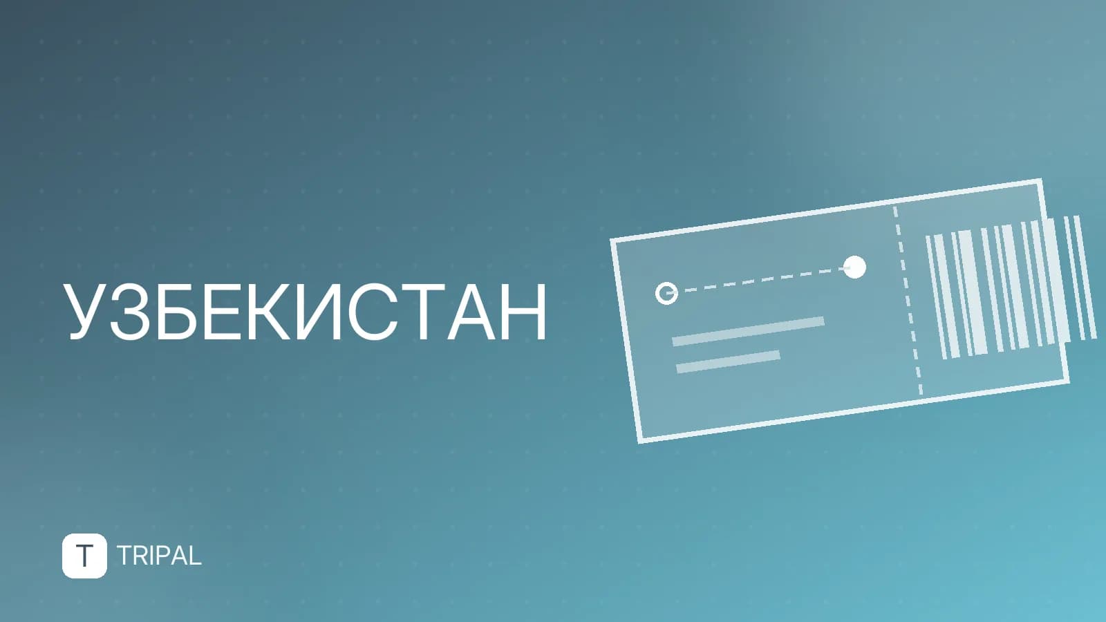 Как купить машину в Узбекистане: правила и нюансы