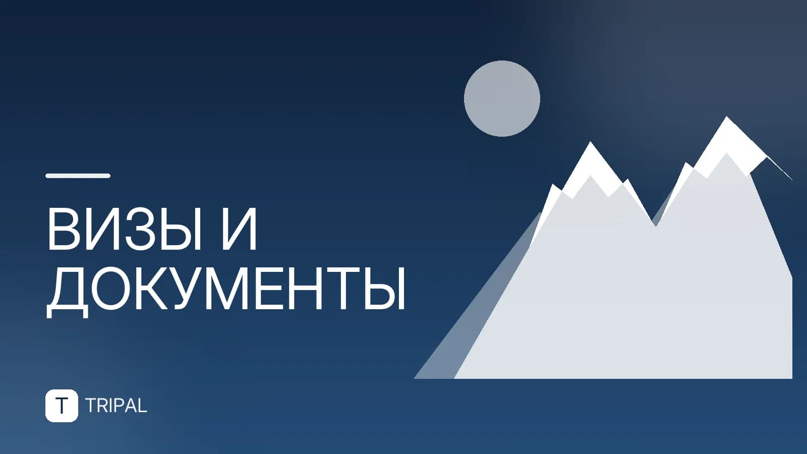 Как оформить международные водительские права через Госуслуги