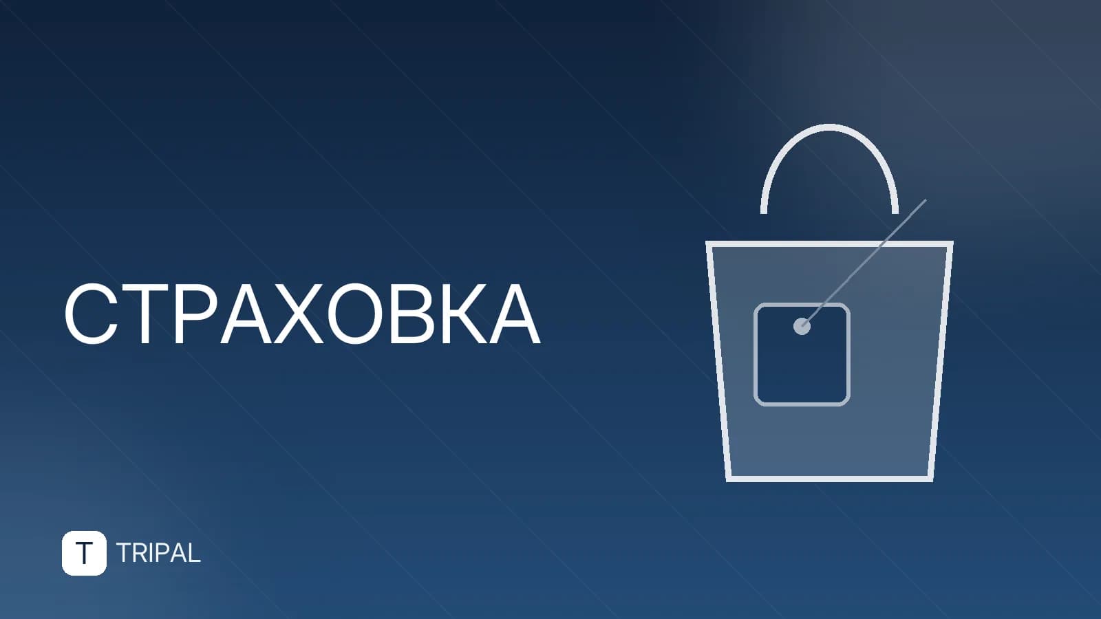 Как оформить страховку для поездки за границу: пошаговая инструкция
