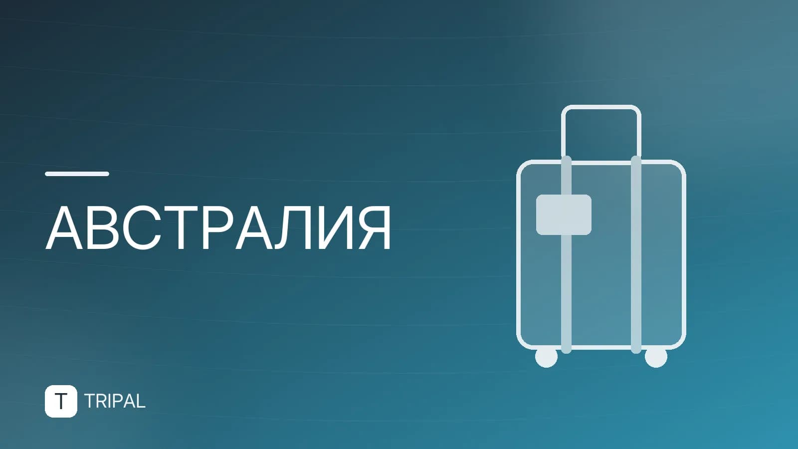 Как получить гражданство Австралии: условия и пошаговая инструкция