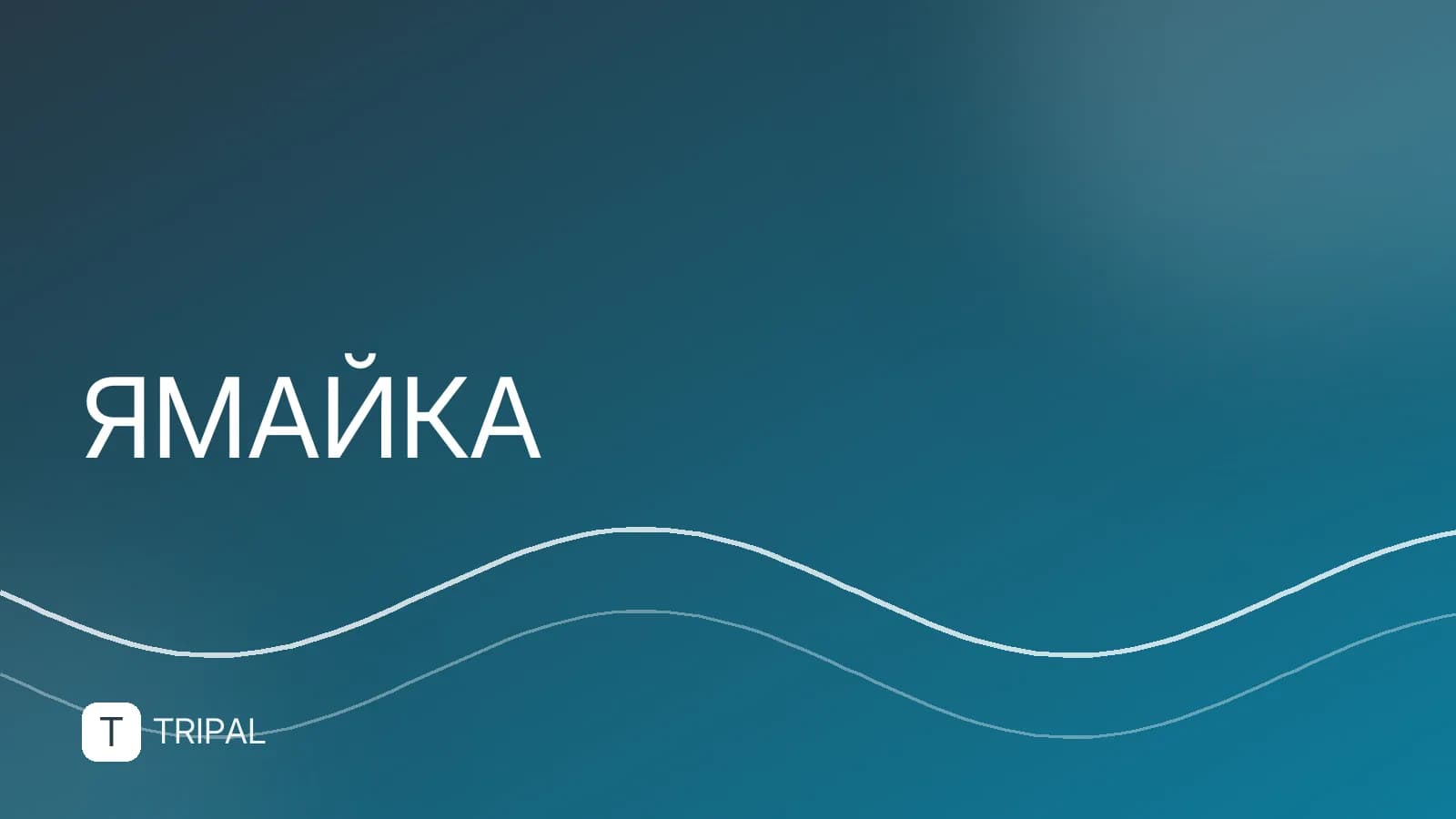 Кофе Ямайки: виды, особенности и где купить