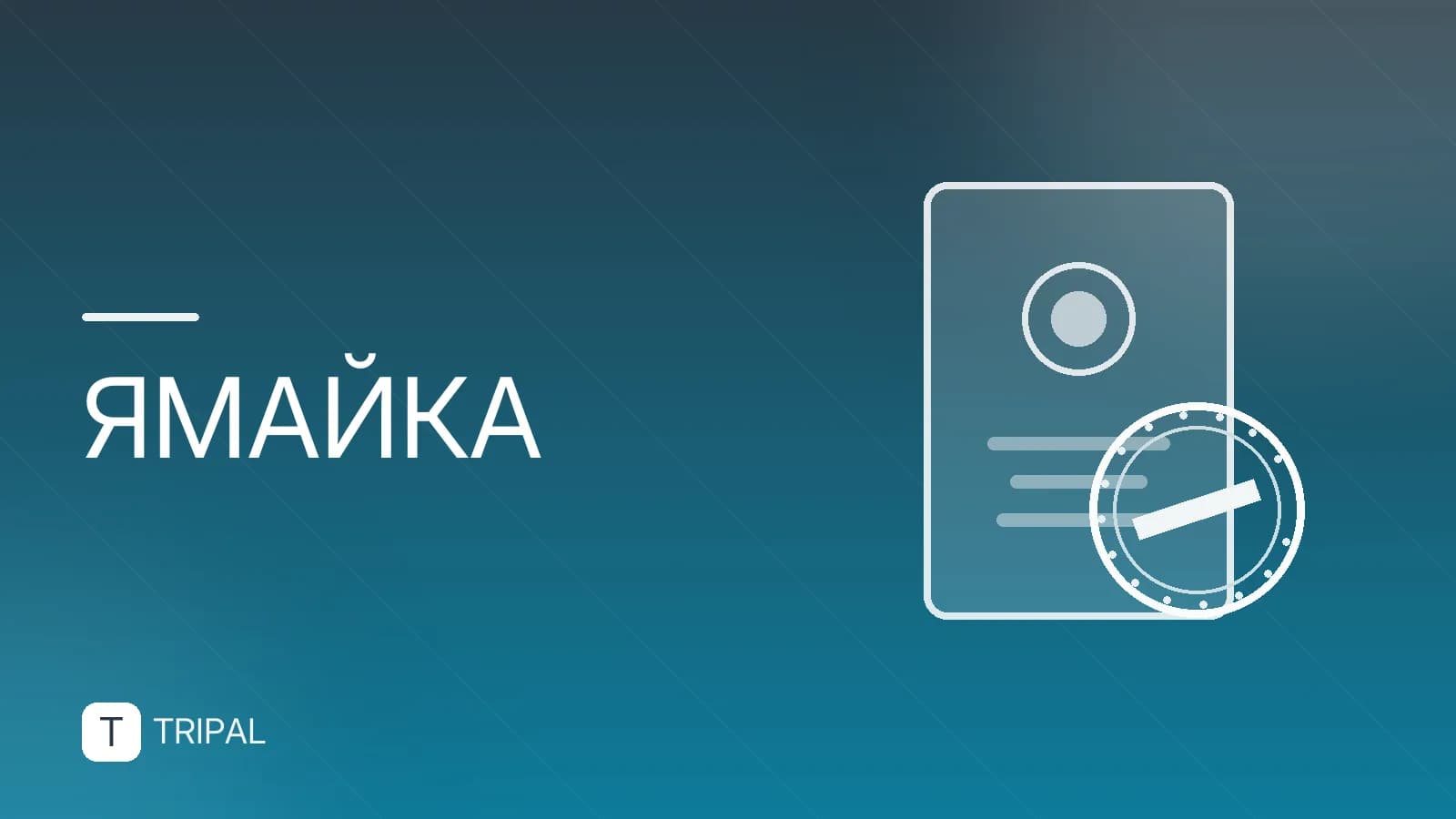 Кофейные плантации Blue Mountain в Ямайке: маршрут и факты