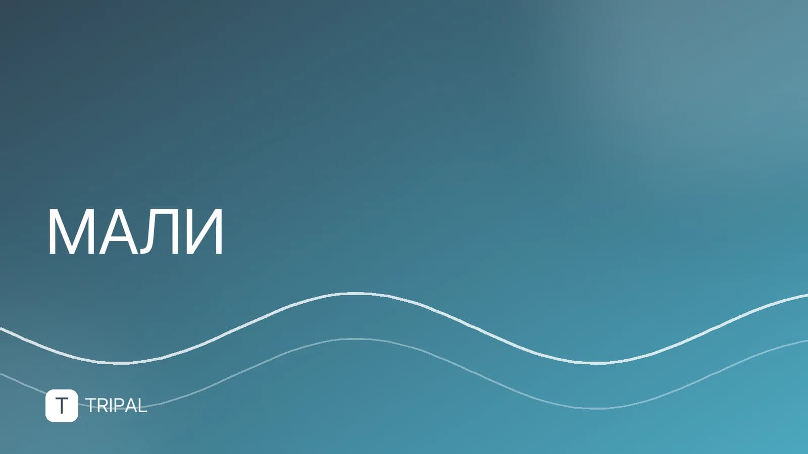 Колонна Вагнера в Мали: что известно о присутствии ЧВК