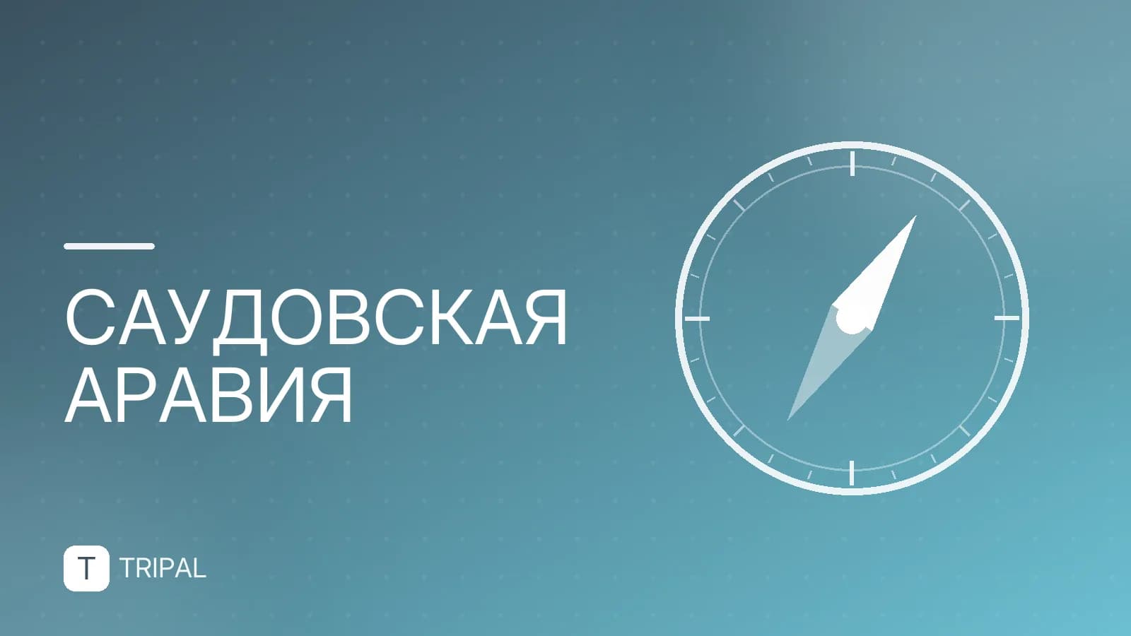 Красное море в Саудовской Аравии: курорты и достопримечательности
