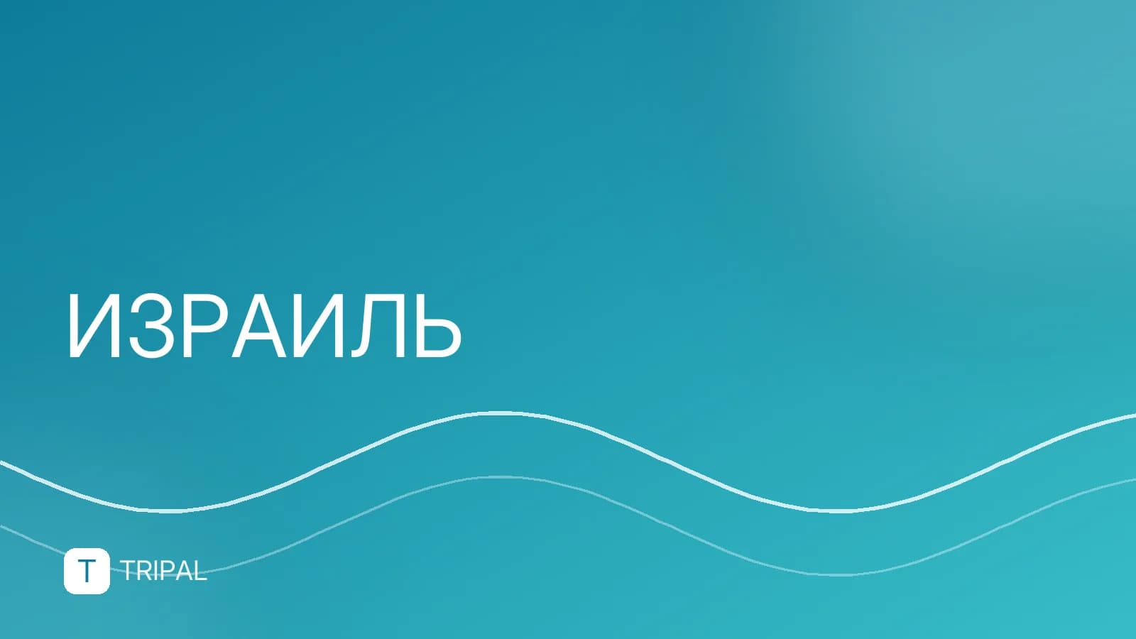 Купаются ли в Мертвом море: правила и техника
