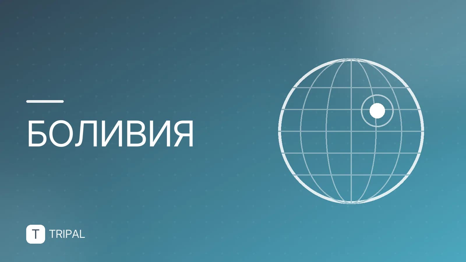 Леса Боливии: где находятся и что там увидеть