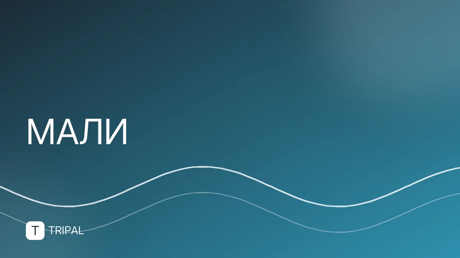 Мали в Алжире: как добраться и что посмотреть