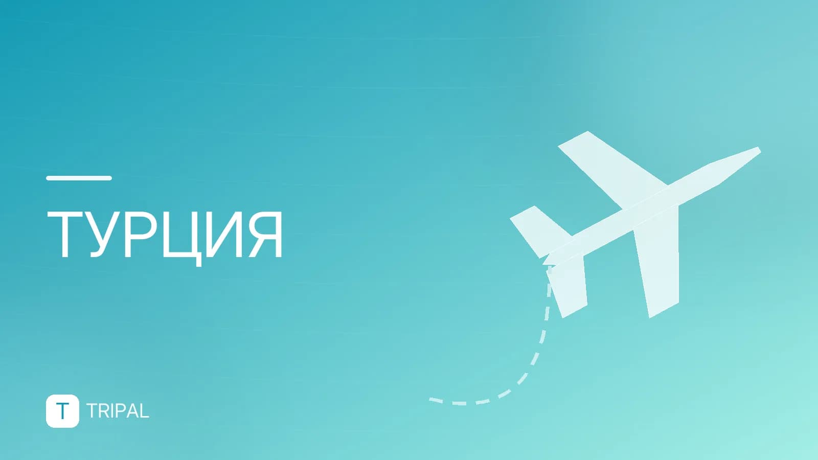 Новогодние туры в Турцию: куда поехать и что делать