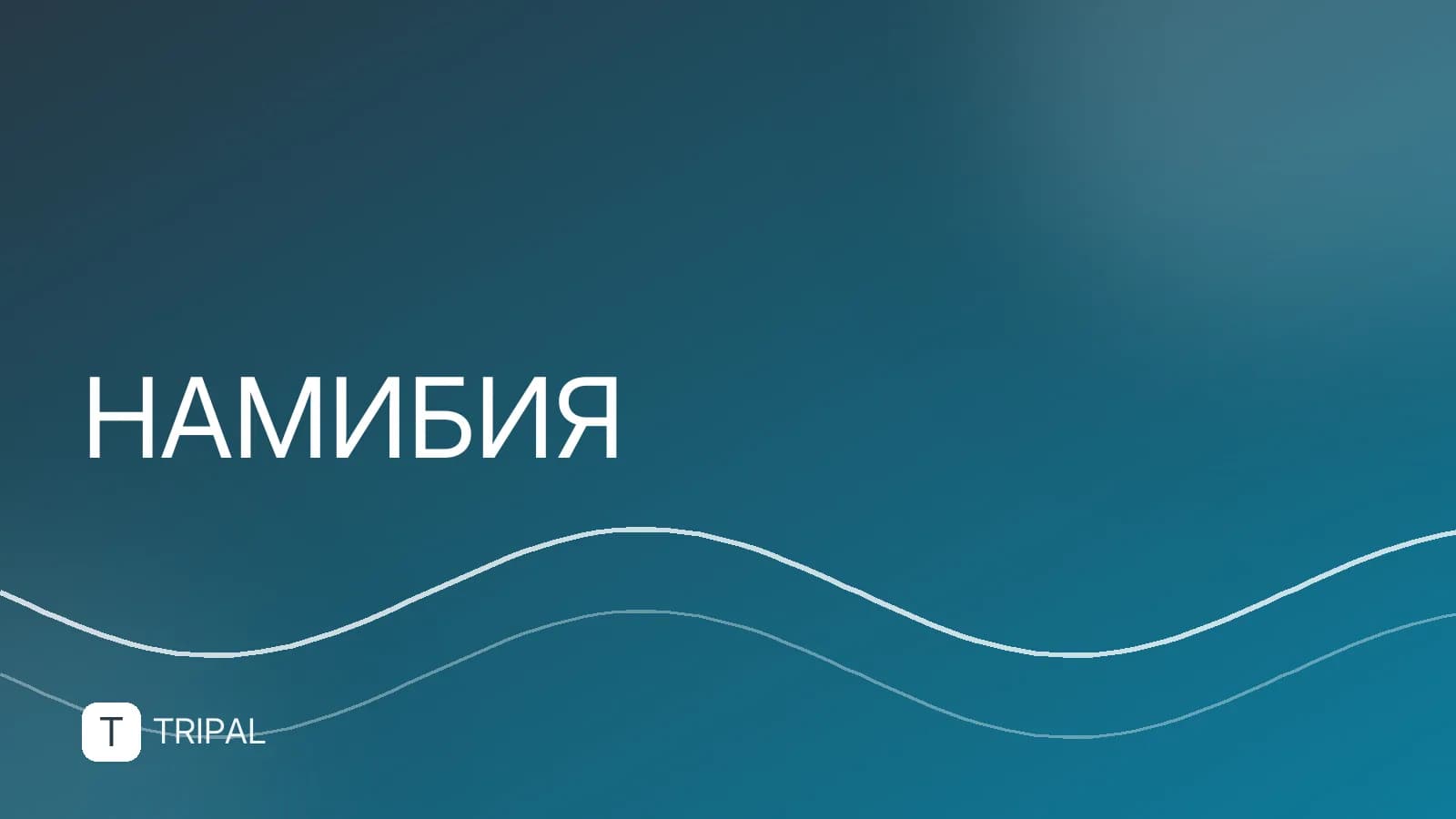 Площадь Намибии: размеры территории и сравнение