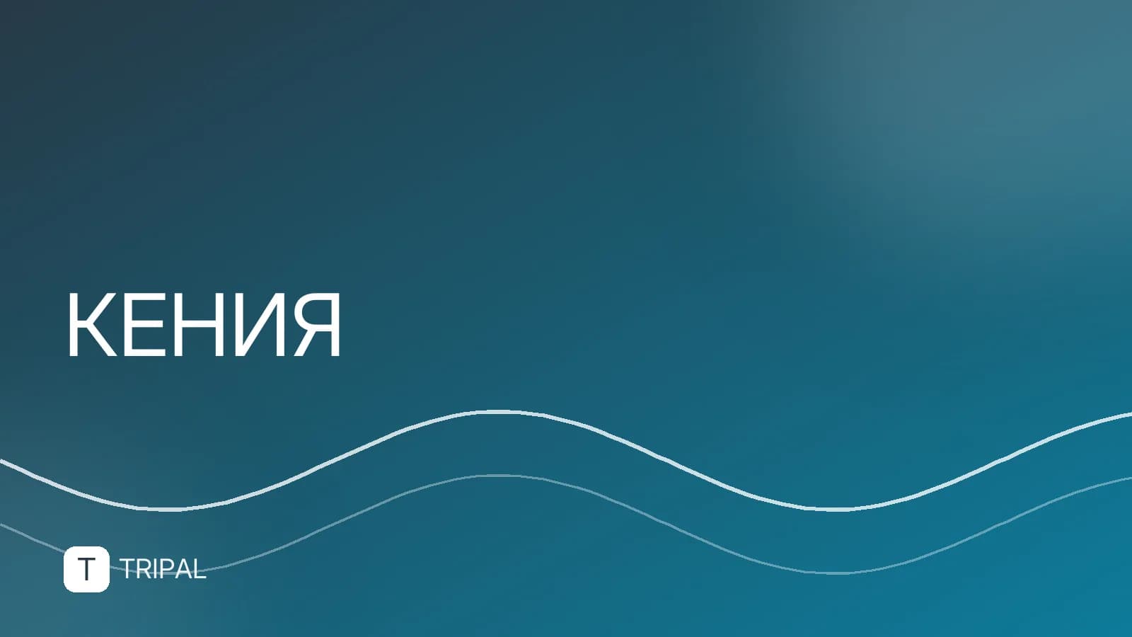 Почему стоит поехать в Кению: 5 причин для путешествия