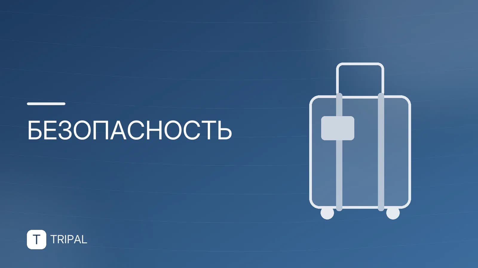 После похода болит живот: причины и первая помощь