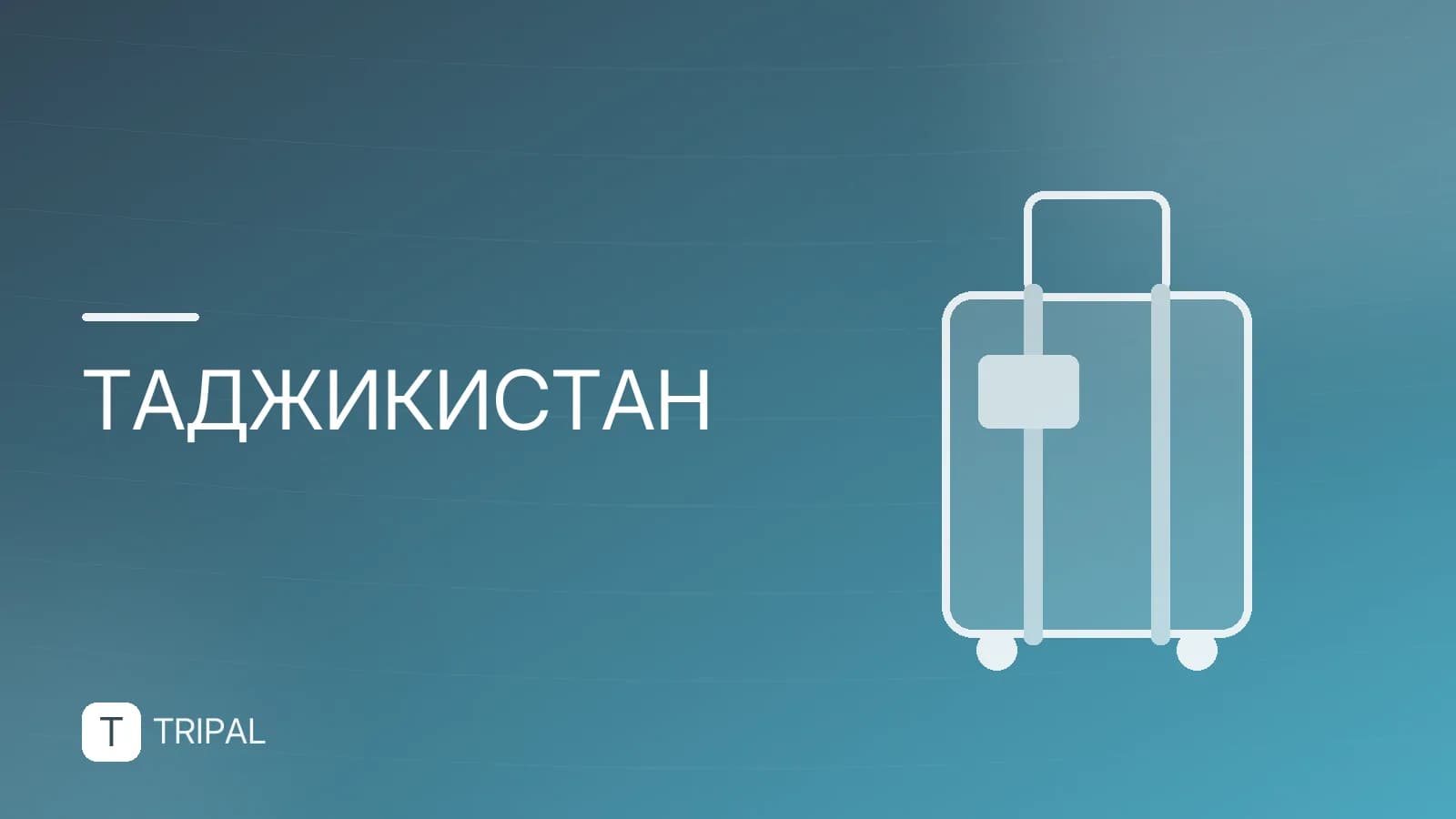 Посольство Таджикистана в Санкт-Петербурге: адрес и контакты
