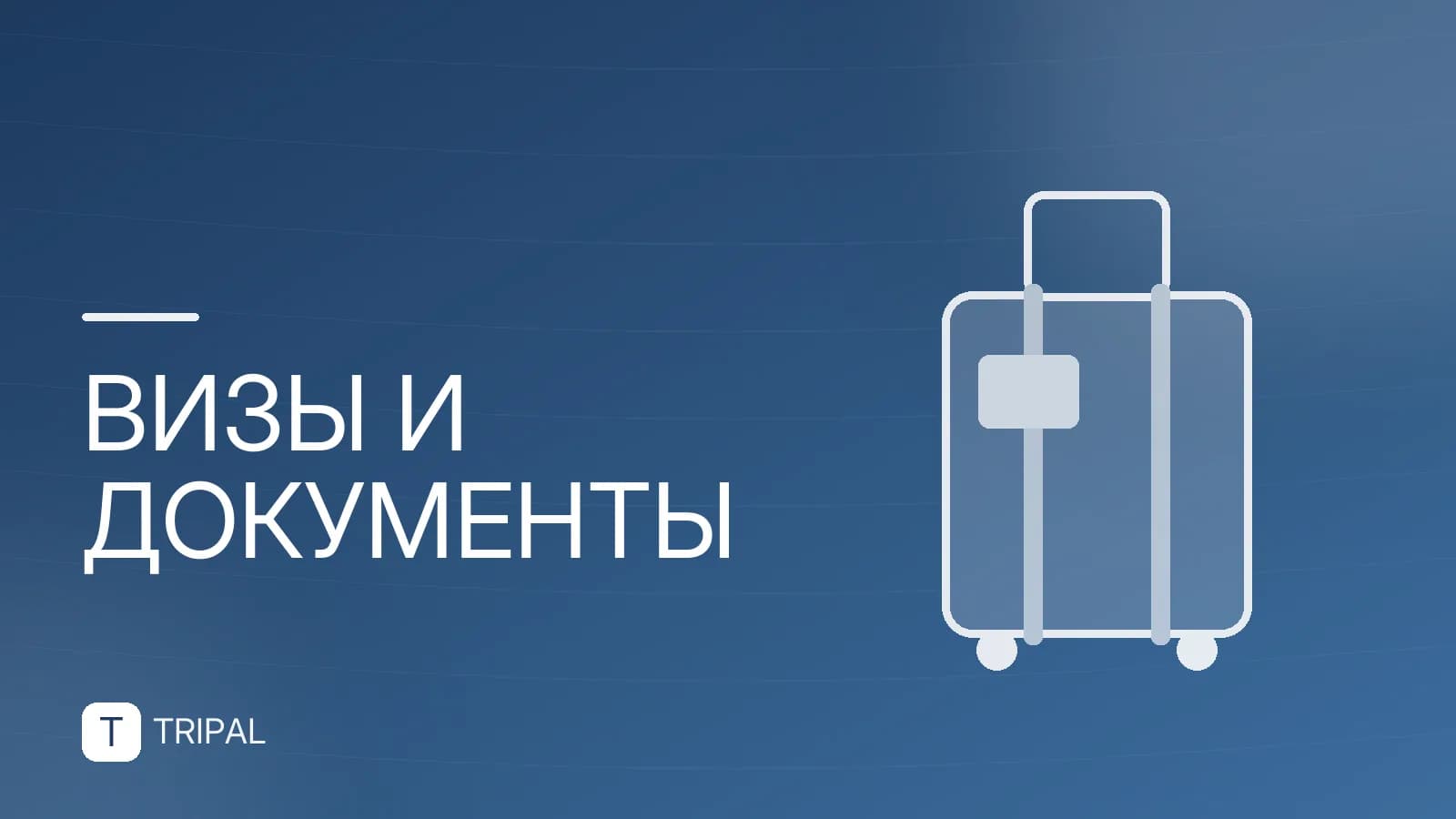 Проверить визу онлайн: где и как оформить