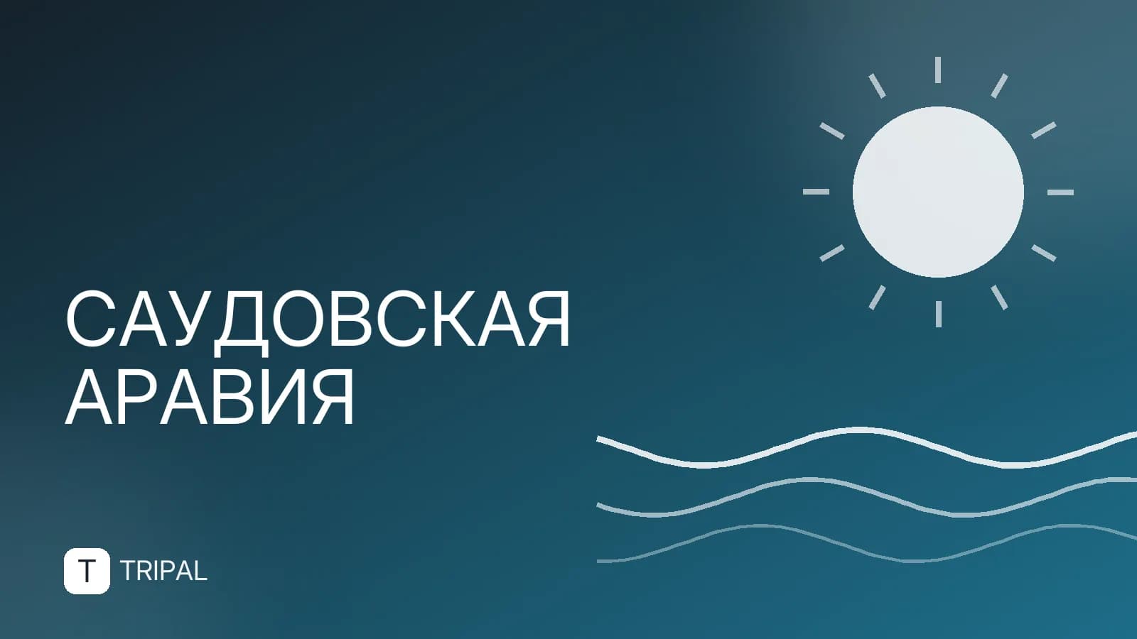 Русские в Саудовской Аравии: виза, правила и жизнь