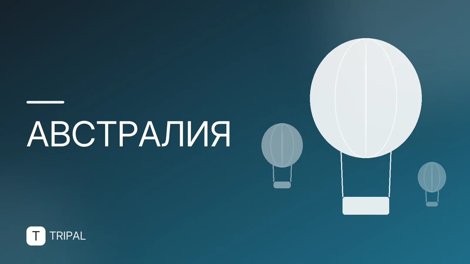 Самые опасные животные Австралии: кого стоит бояться