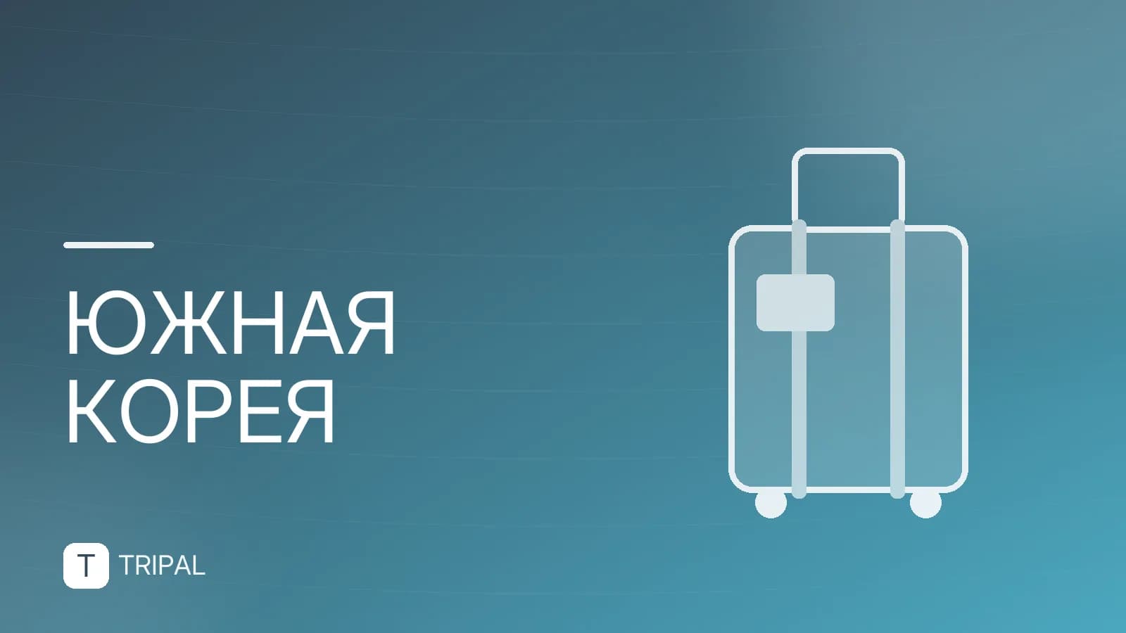 Сколько стоит билет в Южную Корею: цены и нюансы