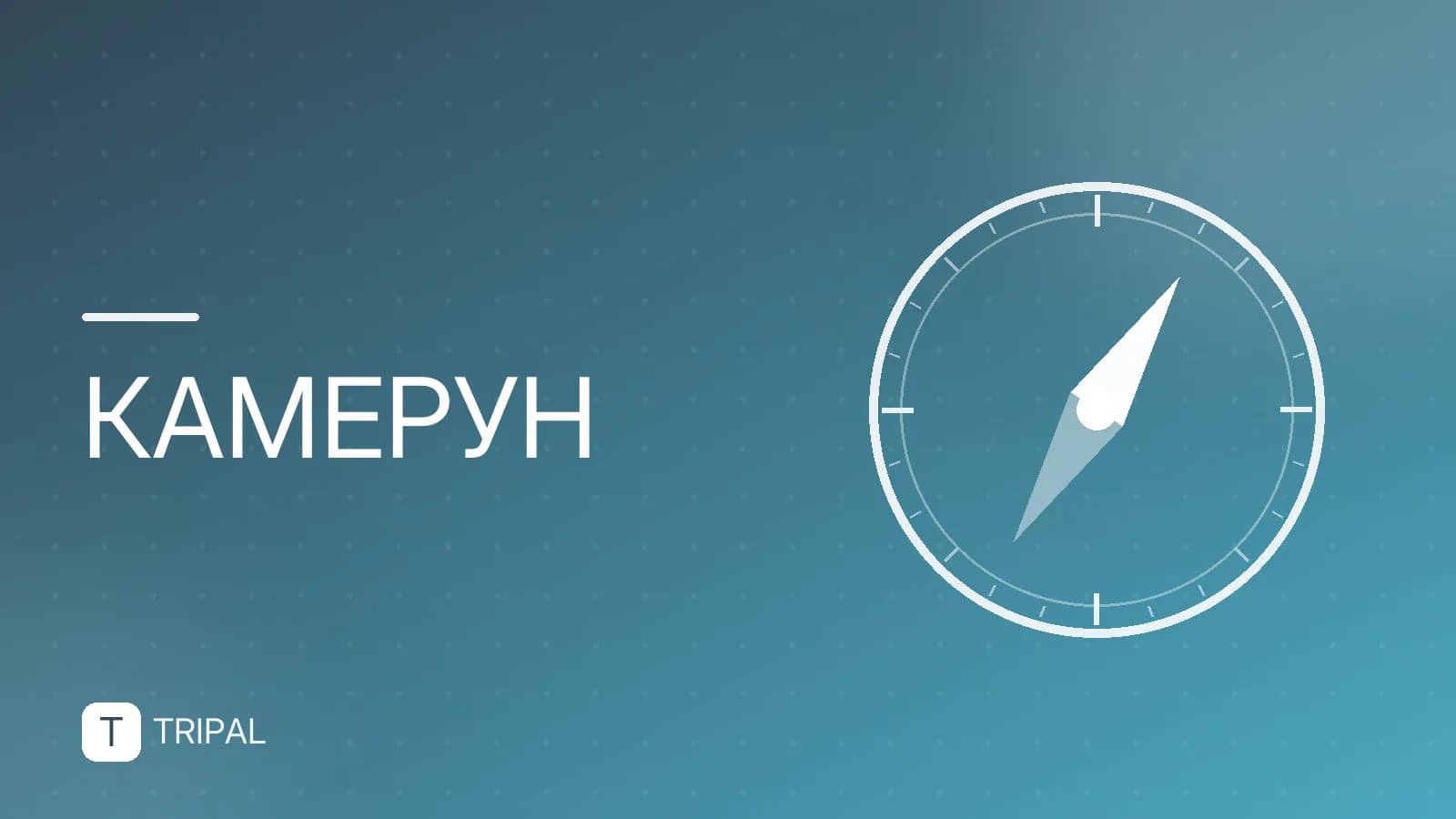 Сколько стоит поездка в Камерун: бюджет и цены