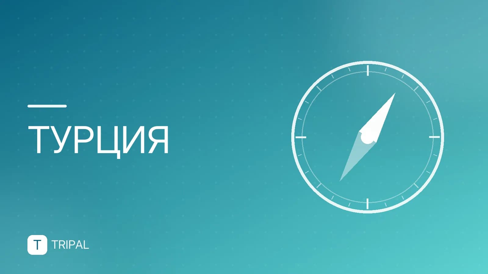 Страховка на авто в Турцию: виды и правила