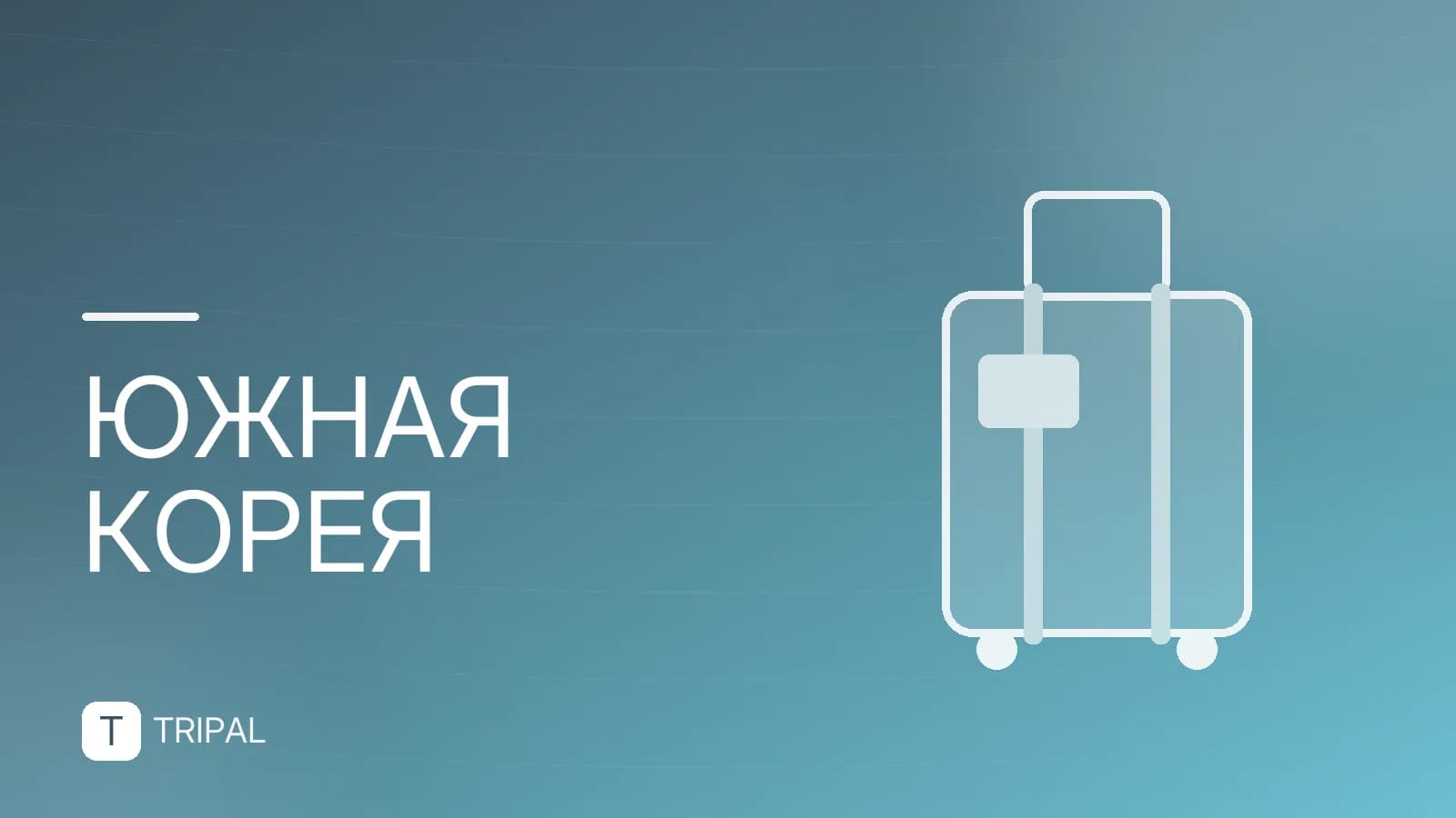 Страховка в Корею: правила, цены и где купить