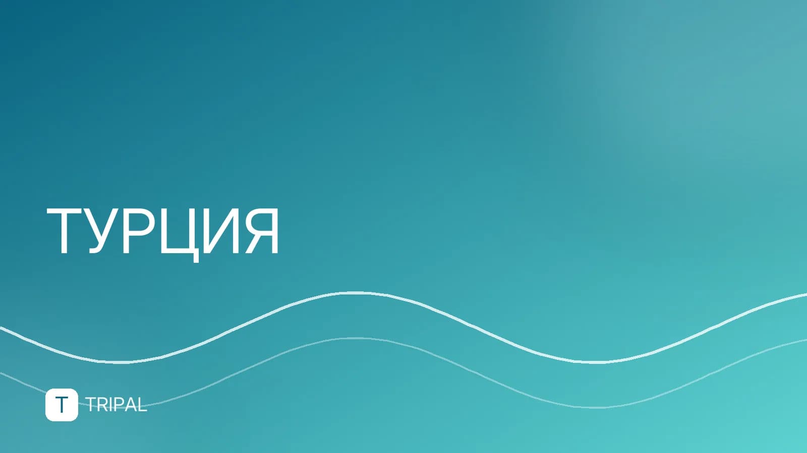 Трансфер из аэропорта Анталии до отеля: как заказать