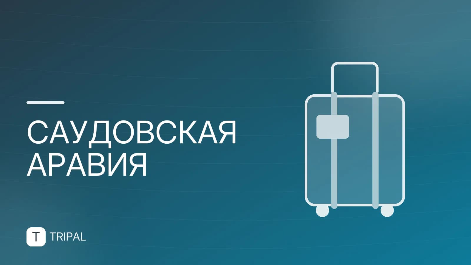 Цены в Саудовской Аравии: бюджет поездки и стоимость услуг