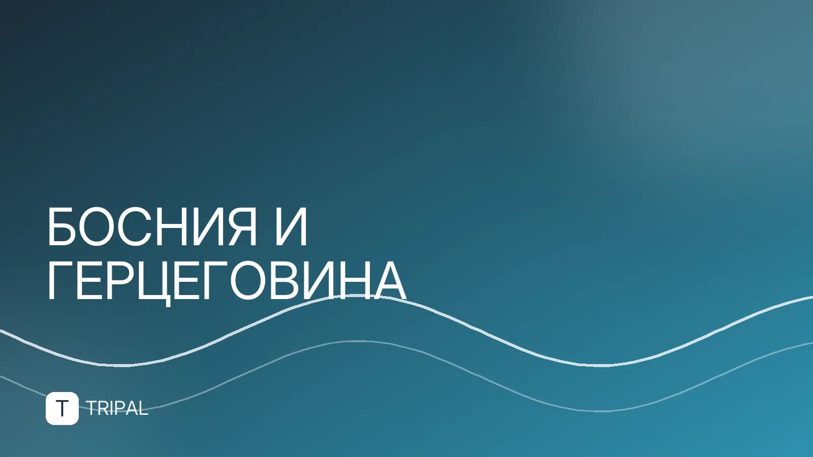 Валюта Боснии и Герцеговины: конвертация и оплата