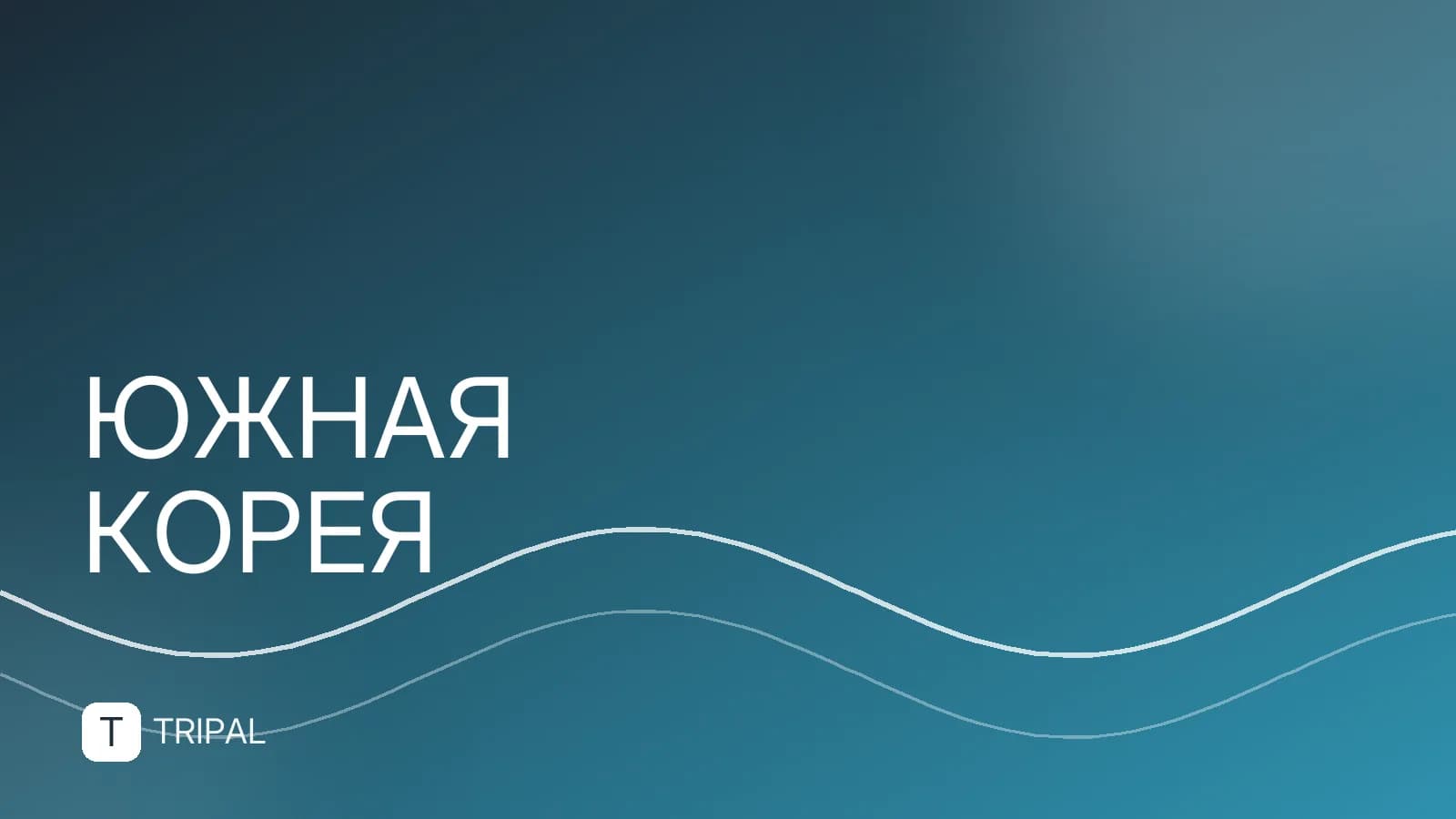 Южная Корея в апреле: куда поехать и что посмотреть