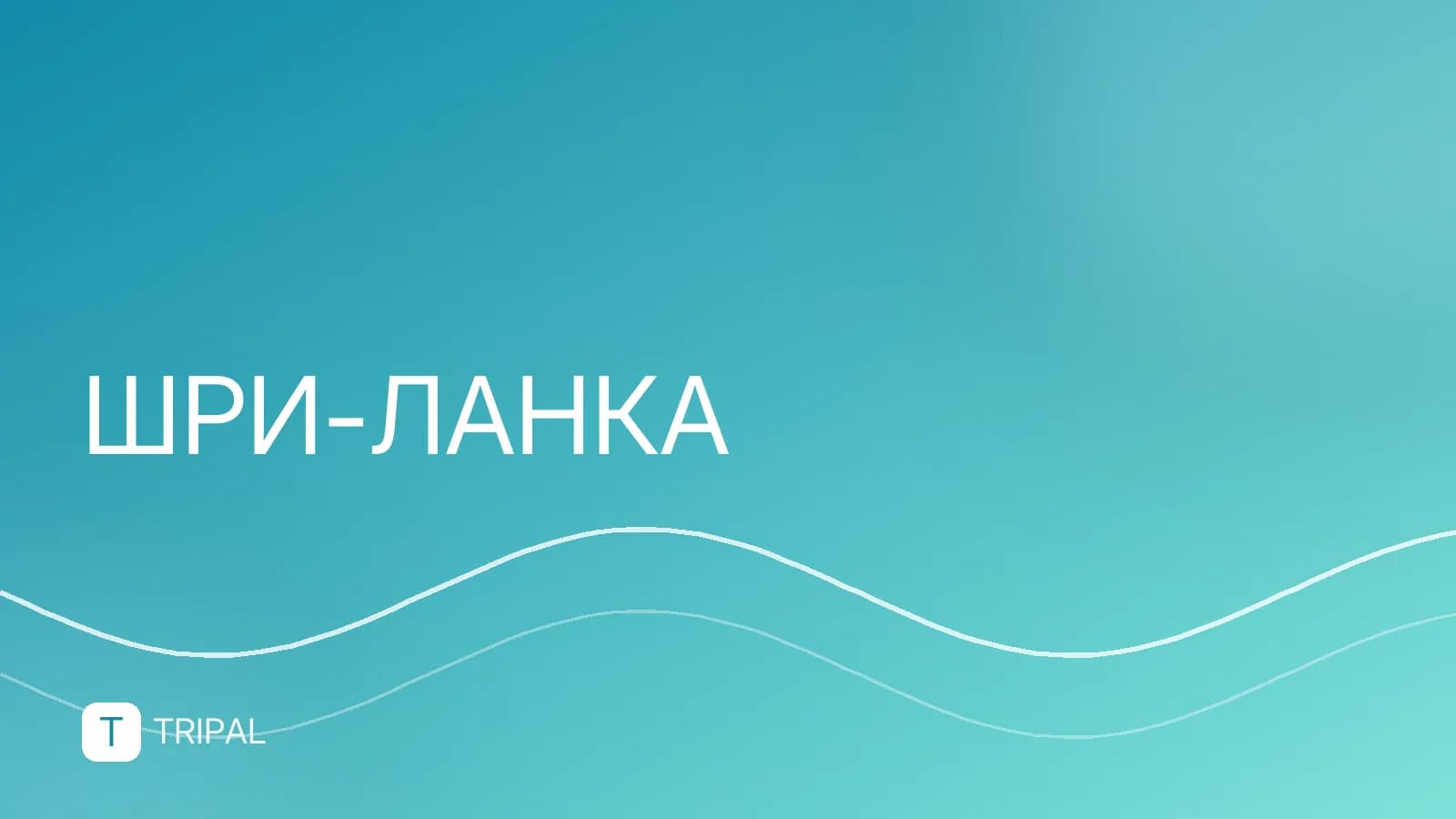 Загранпаспорт для Шри-Ланки: требования и сроки