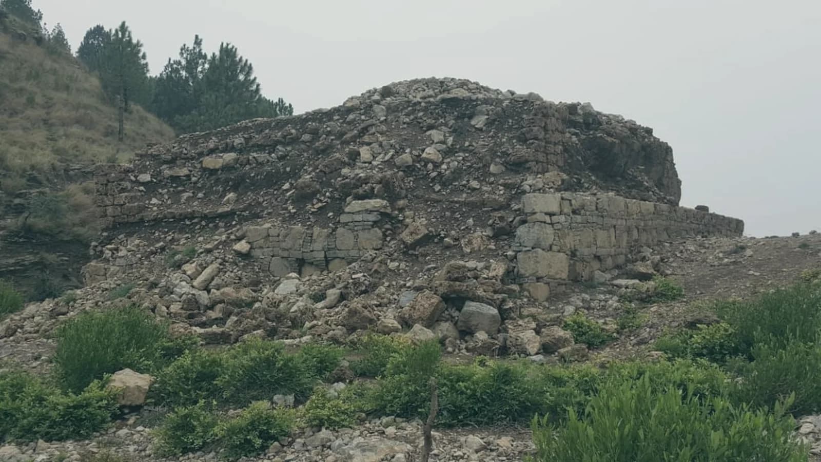 Население Пакистана: актуальные данные и динамика