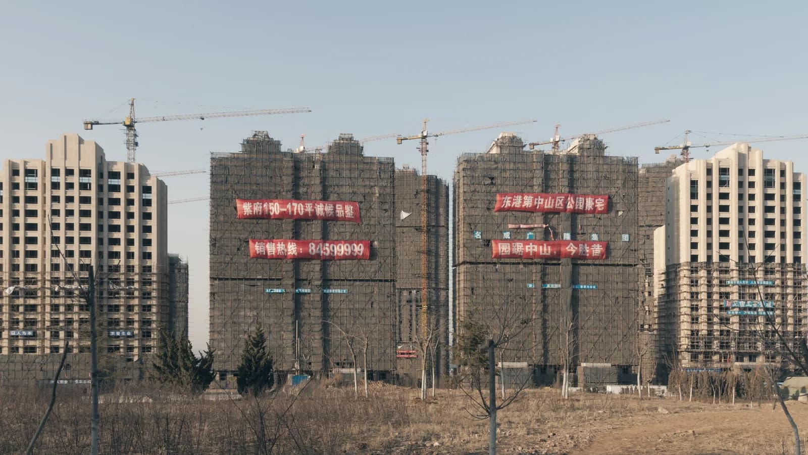 Когда в Даляне наступает золотая осень
