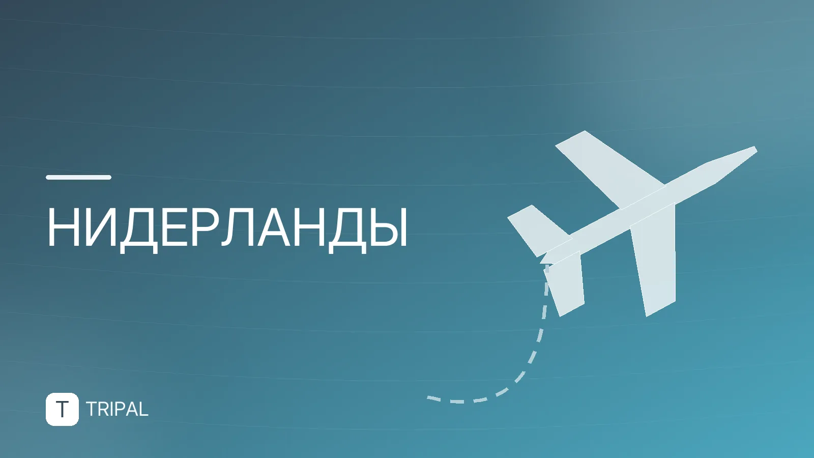 День Нидерландов в России: история и традиции