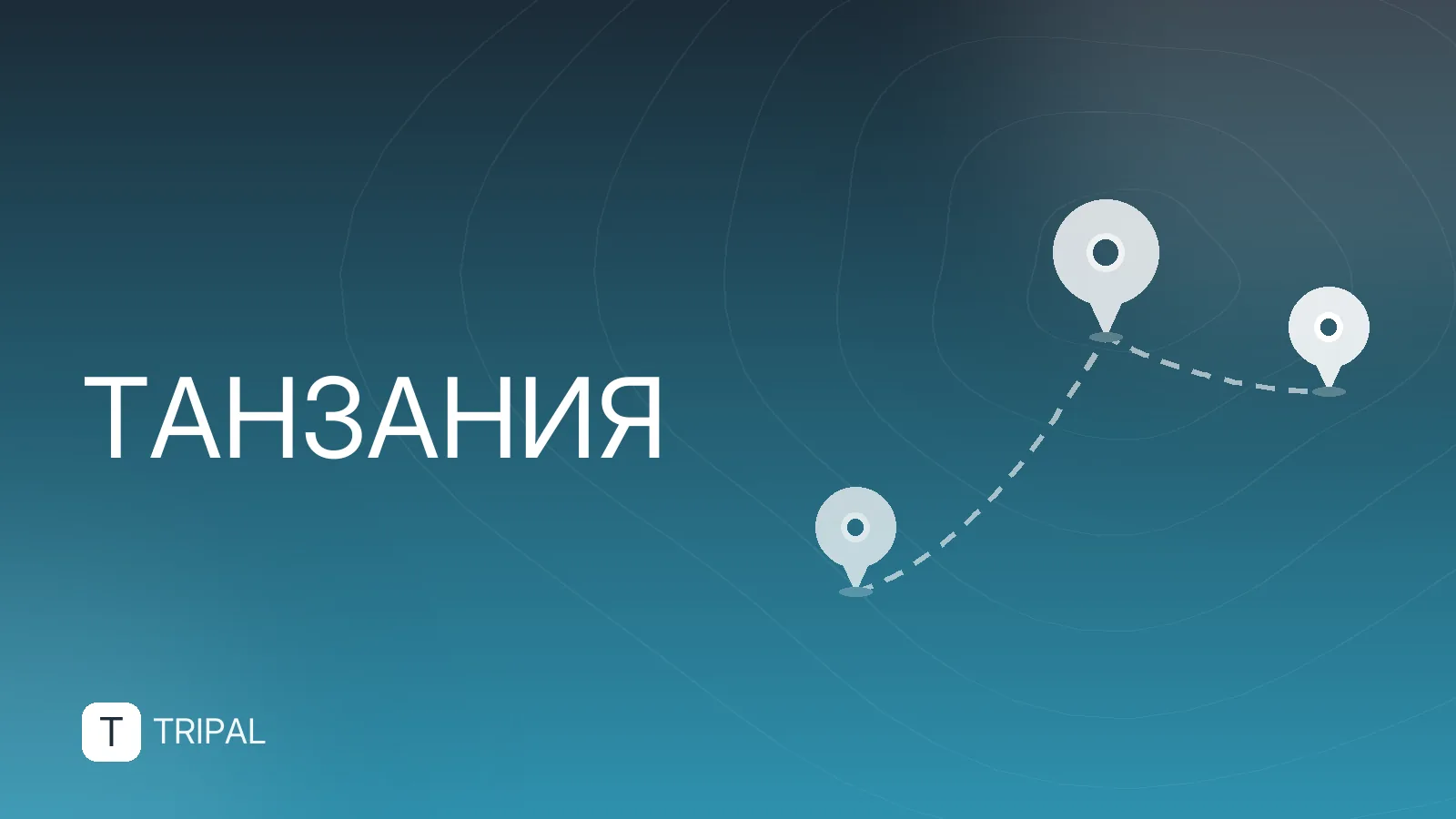 Деньги в Танзании: какая валюта нужна туристу