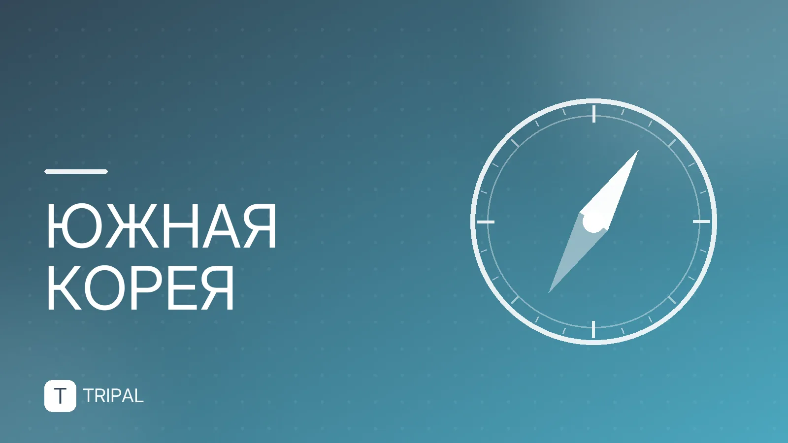 Еда в Южной Корее: что попробовать и где поесть