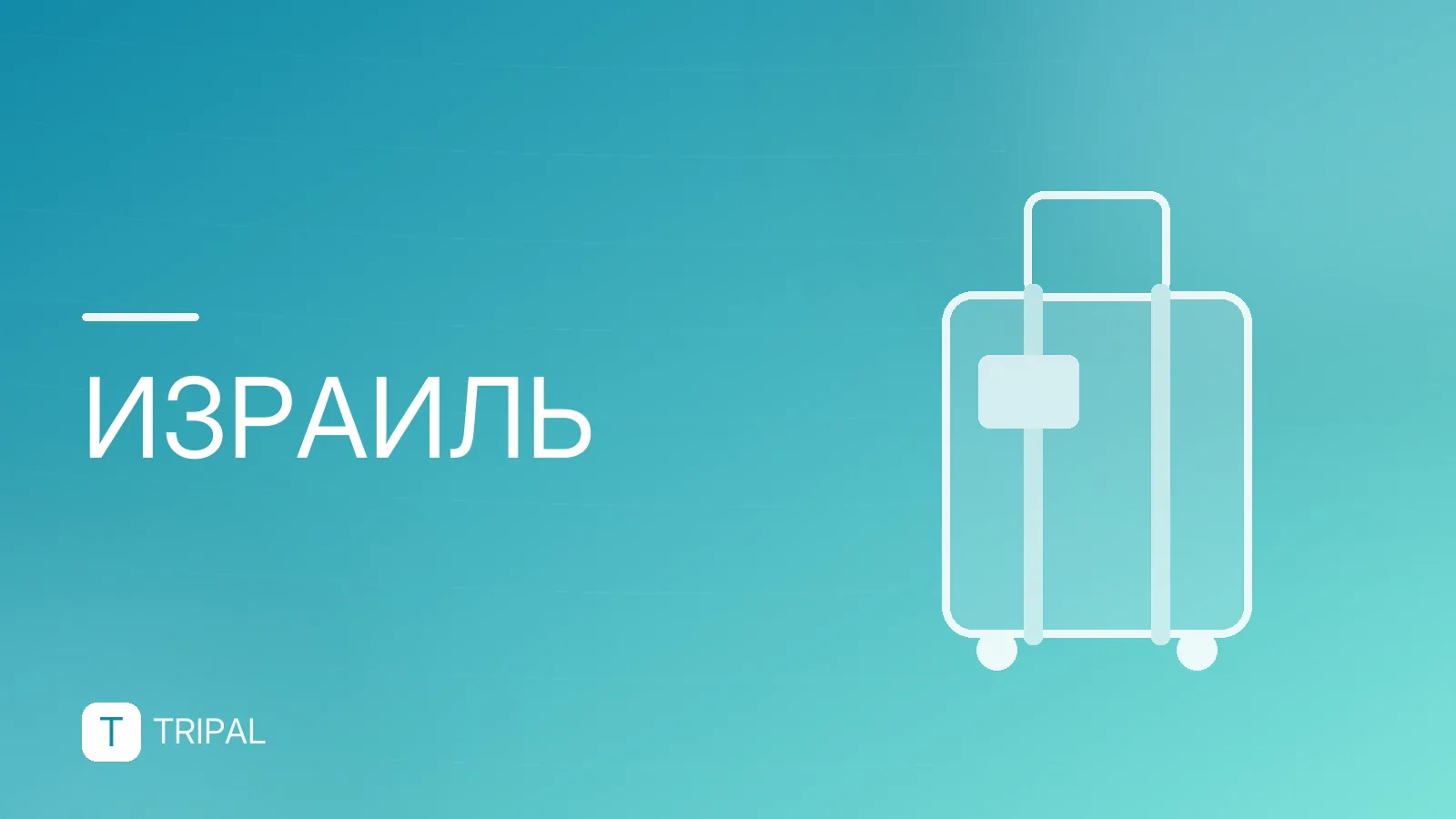 Электронное разрешение в Израиль: как получить и проверить