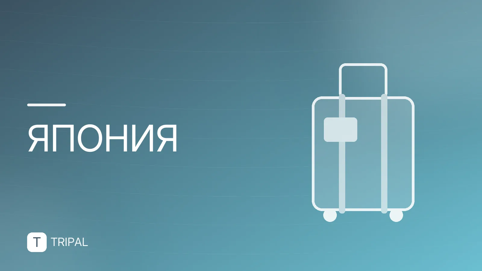 Курильские острова: Шикотан и Итуруп — куда ехать