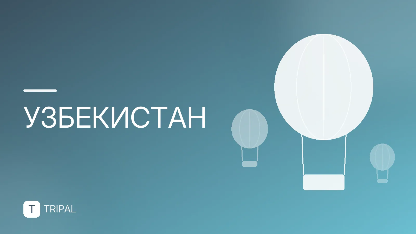 Массаж в Ташкенте: виды, цены и лучшие салоны