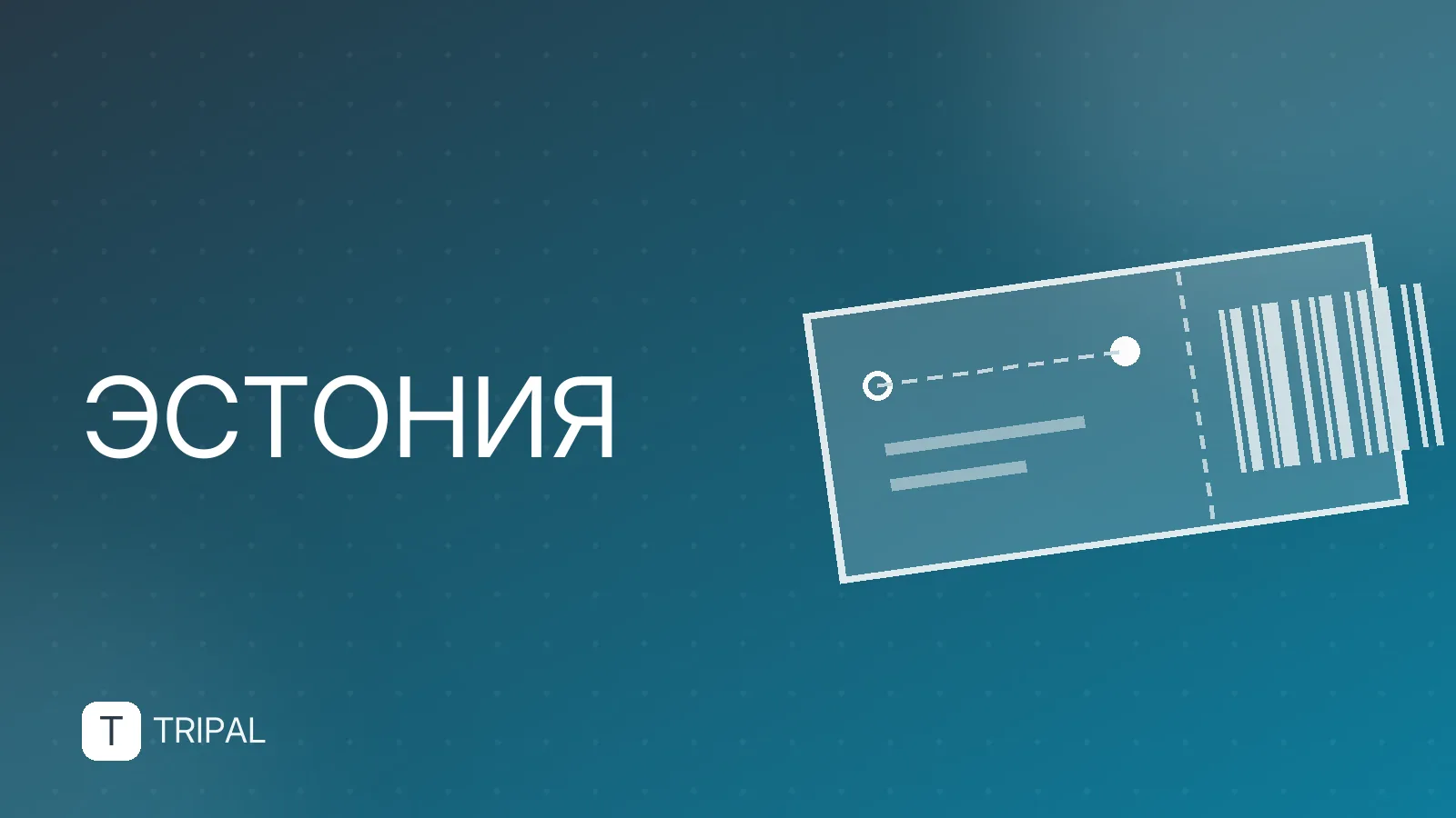 Нарва и Финский залив: куда поехать из Санкт-Петербурга