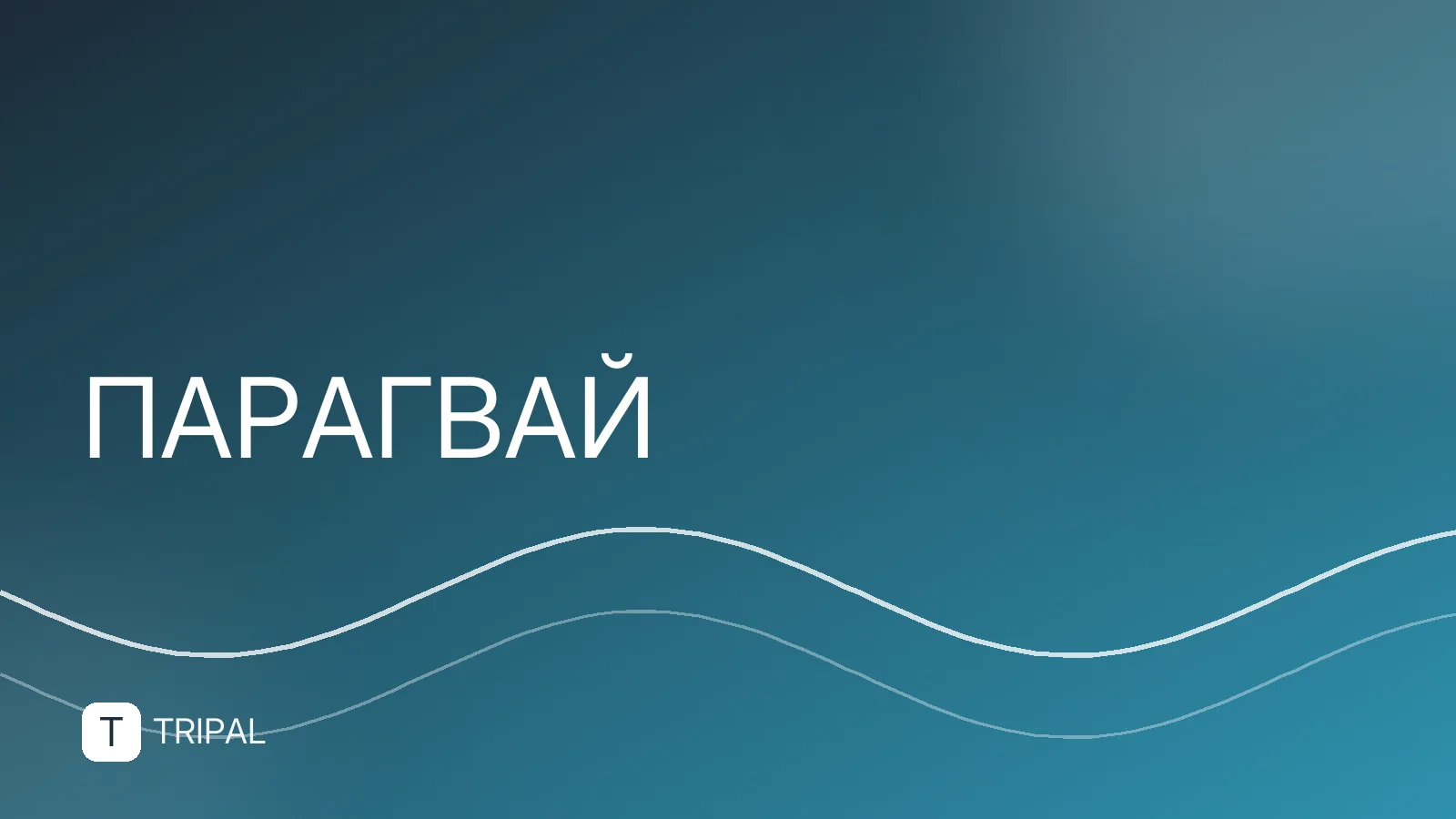 Официальный язык Парагвая: какой говорят и учить ли