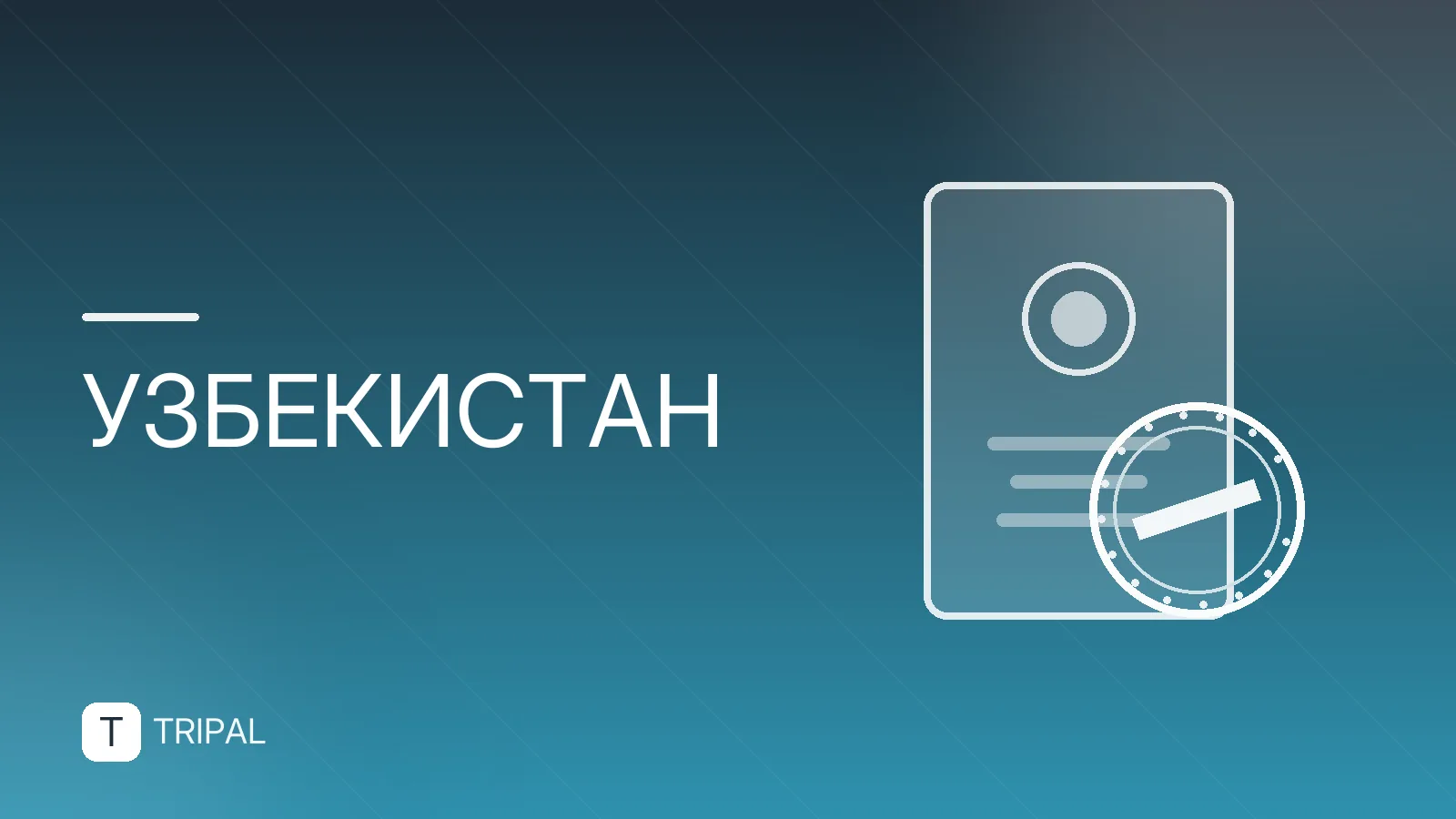 Оформление карты в Узбекистане: виды, условия и правила
