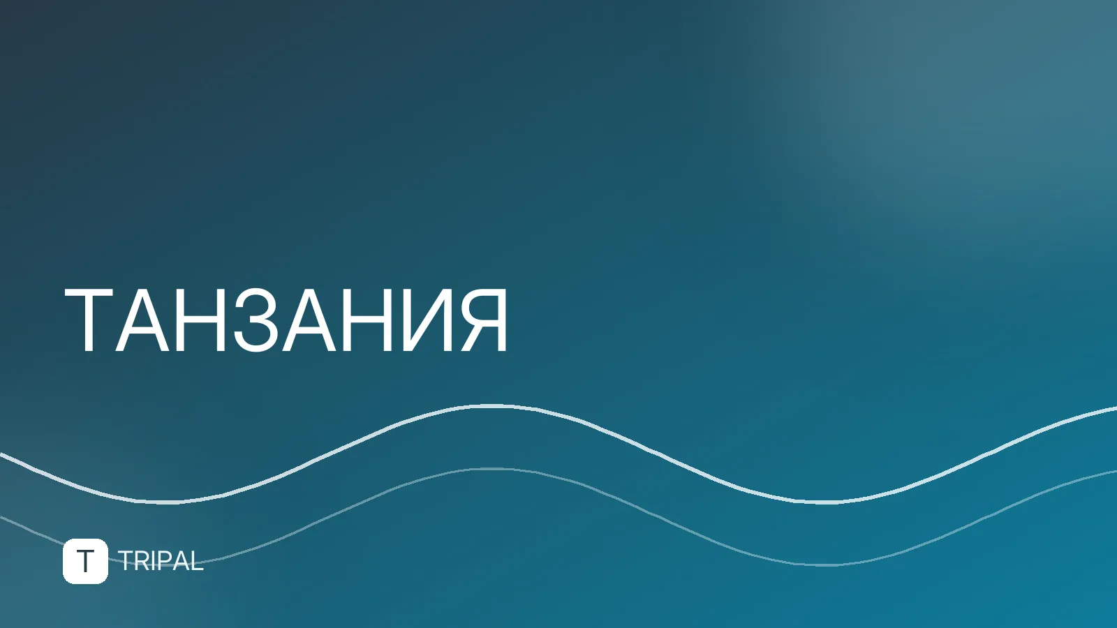 Отдых в Танзании: цены на туры и проживание