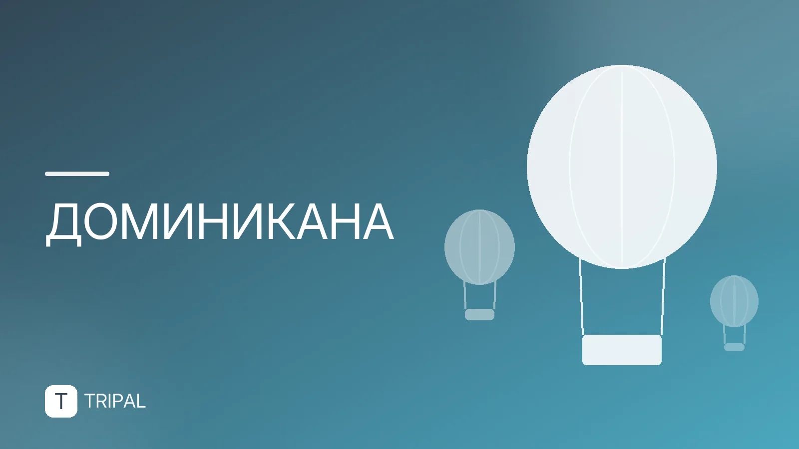 Паспорт Доминиканы: как получить и что это даёт