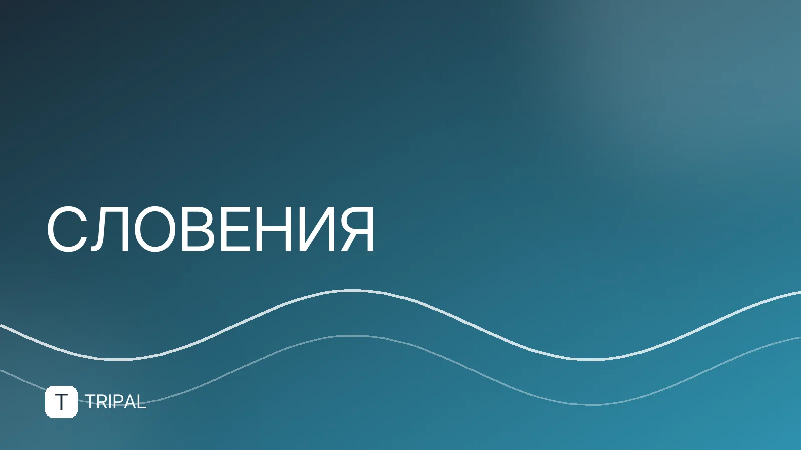Пещеры Словении: лучшие маршруты и что посмотреть