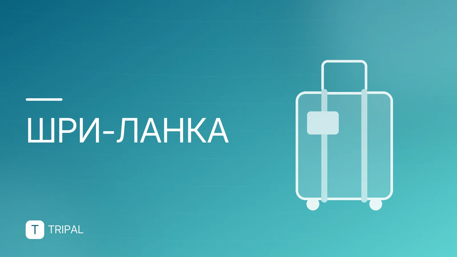 Плюсы Шри-Ланки: почему стоит поехать