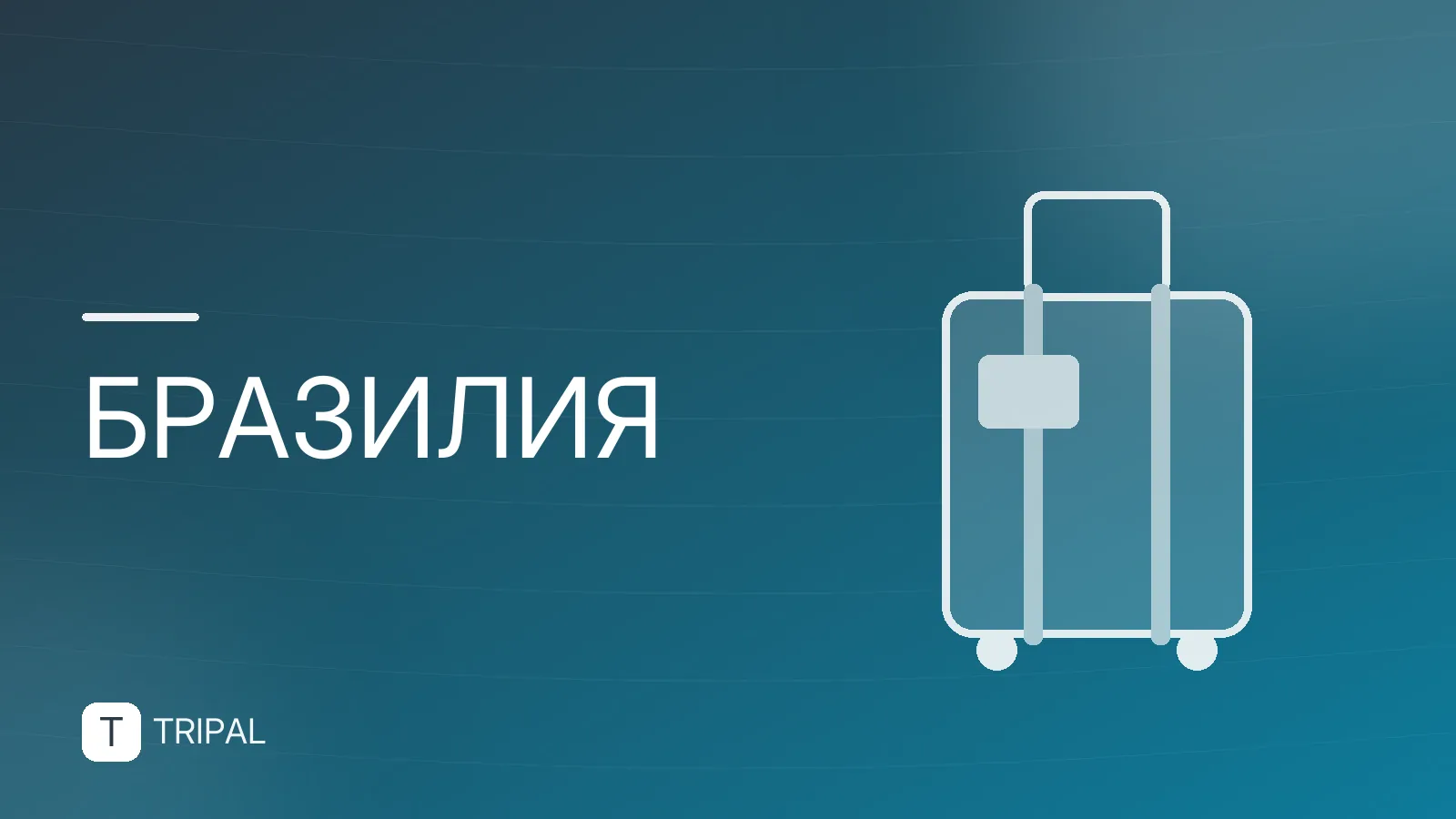Пояса в Бразилии: правила, штрафы и нюансы