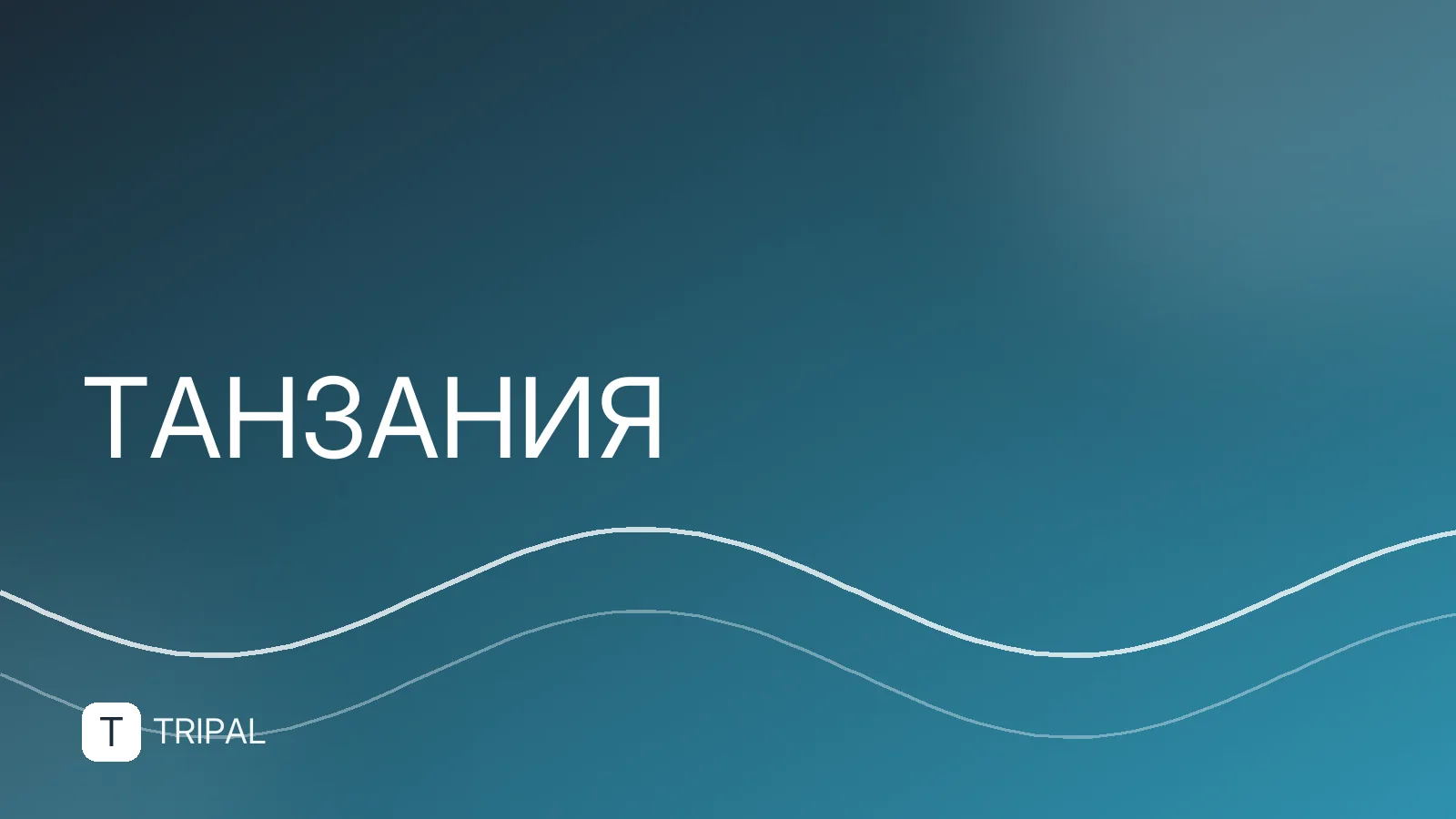 Прямые рейсы из России в Танзанию: расписание и пересадки