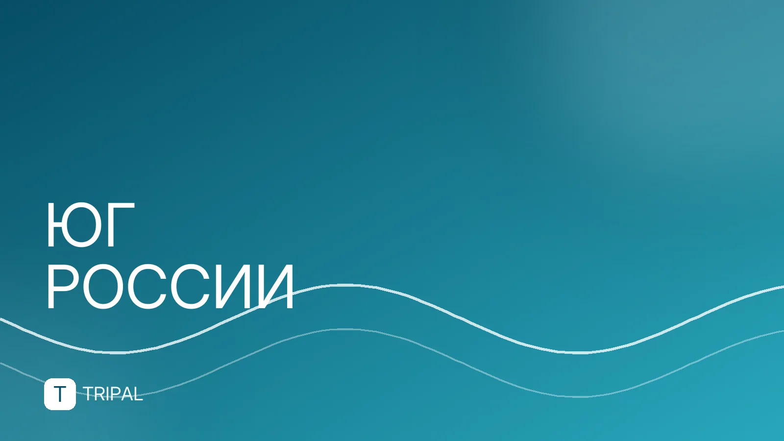 Санатории в Сочи на берегу моря: цены и выбор