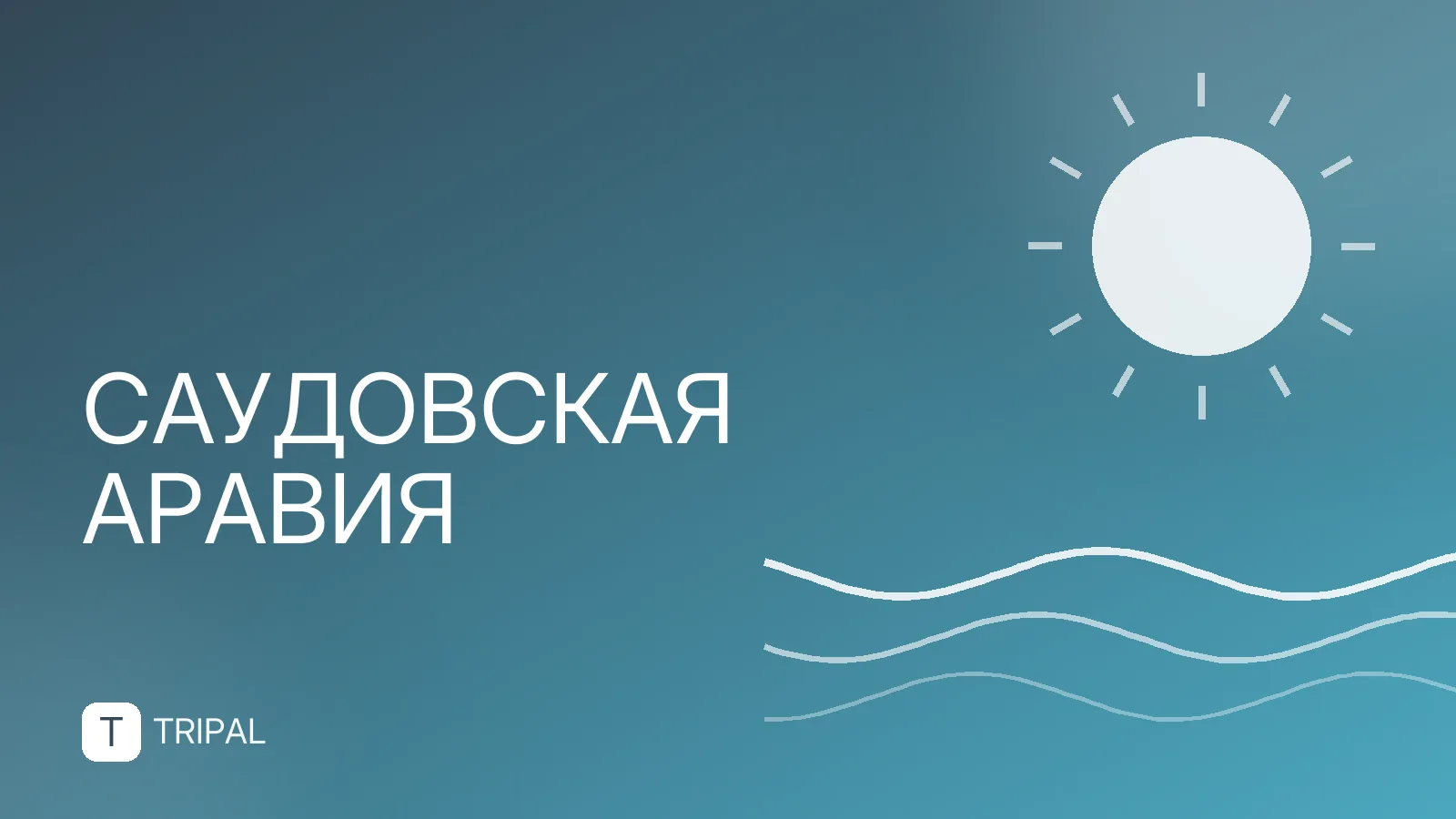Сколько ехать до Мекки: способы и время в пути