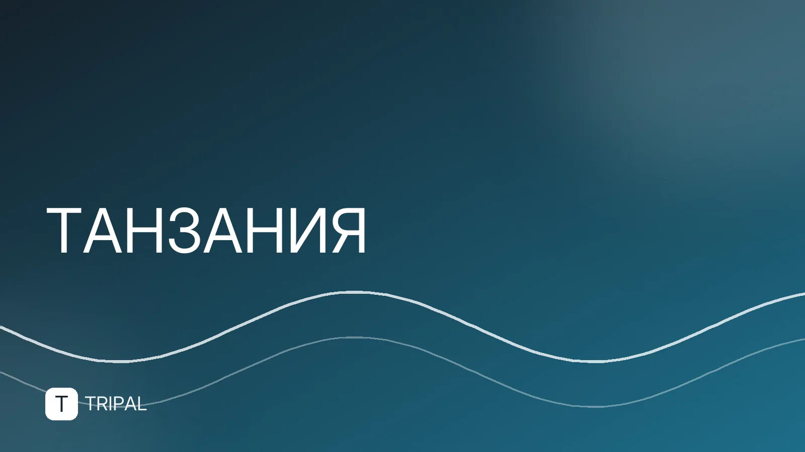 Сколько стоит отдых на Занзибаре: бюджет поездки