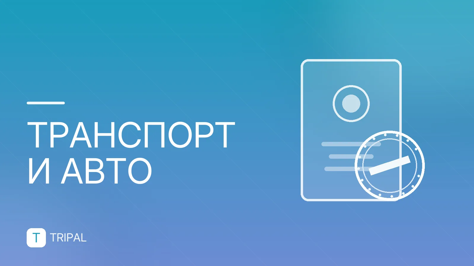 Страховка для поездки на машине: виды и правила